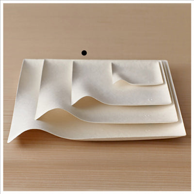 ASSIETTES KAKU M 'BIONIC'  15x15x2,6 CM BLANC BAGASSE (200 UNITÉS)