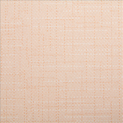SERVIETTES 'DRY COTTON' 55 G/M2 40x40 CM TERRACOTE AIRLAID (700 UNITÉS)