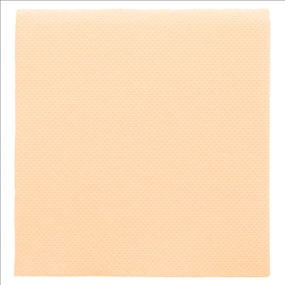 SERVIETTES ECOLABEL 'DOUBLE POINT' 18 G/M2 20x20 CM IVOIRE OUATE (2400 UNITÉS)