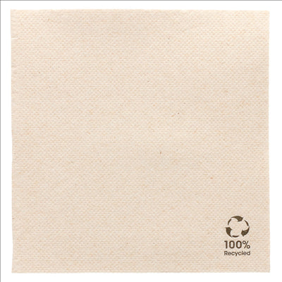 SERVIETTES RECYCLÉS ECOLABEL 'DOUBLE POINT' 19 G/M2 25x25 CM NATUREL OUATE RECYCLÉE (3000 UNITÉS)