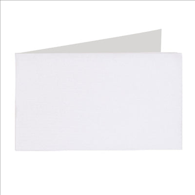 SERVIETTES ESSUIE-MAINS FLUSHABLES  50 G/M2 20x40 CM BLANC CELLULOSE (1400 UNITÉS)