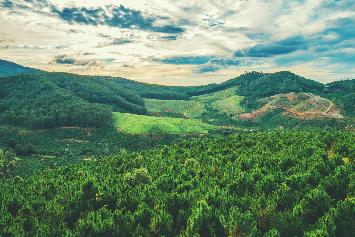 Des emballages respectueux de l'environnement