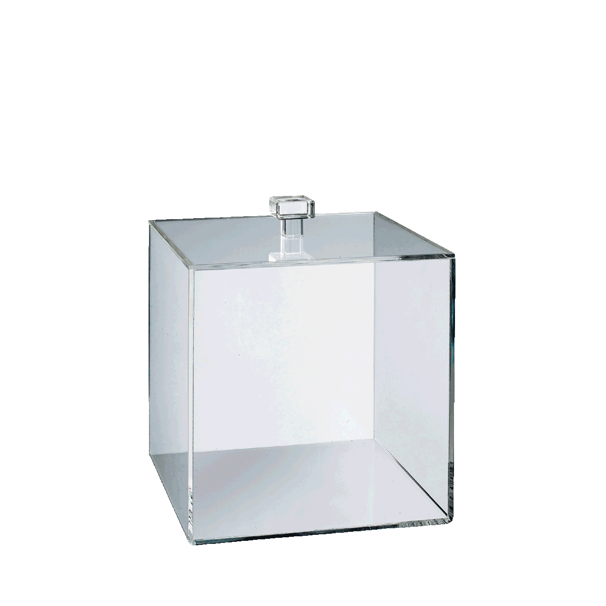 Cube PMMA 100x100 mm avec couvercle ｜ 20 Unité(s)