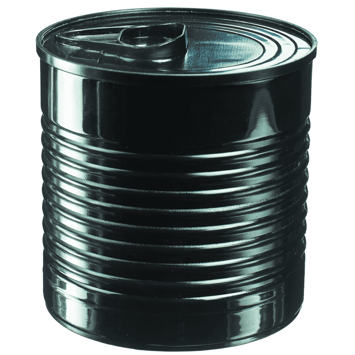 Boite de conserve 220 ml noire PP ｜ 100 Unité(s)